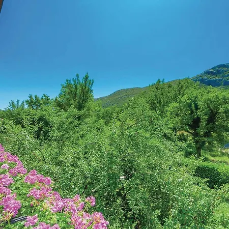 Appartamento Stunning In With Kitchen Tribalj (Primorsko-Goranska)